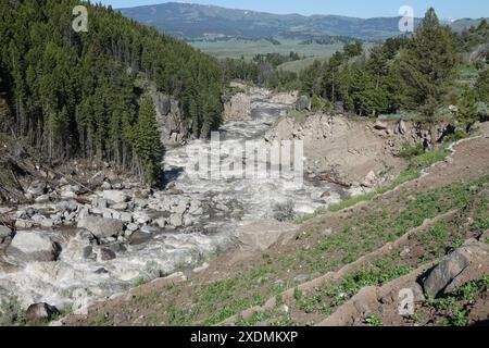 Der Lamar River im Yellowstone NP Stockfoto