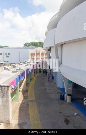 T20 Cricket im Barbados's Kensington Oval in Bridgetown am Sonntag, 23. Juni 2024, Spiel zwischen den USA und England. England besiegte die Vereinigten Staaten. Stockfoto