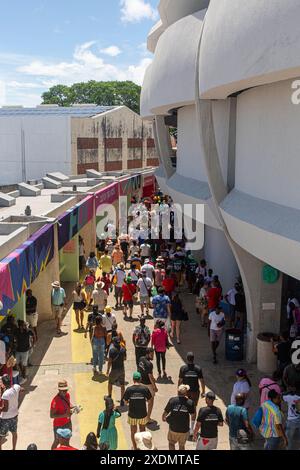 T20 Cricket im Barbados's Kensington Oval in Bridgetown am Sonntag, 23. Juni 2024, Spiel zwischen den USA und England. England besiegte die Vereinigten Staaten. Stockfoto