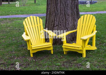 Gelb lackierte Adirondack-Holzstühle auf grünem Gras unter einem Laubbaum im Frühjahr, Montreal Botanical Garden, Quebec, Kanada. Stockfoto