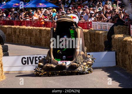 Edmonton, Kanada. Juni 2024. Der Eintrag „The Whale“ der West Edmonton Mall überlebt den letzten Sprung beim Red Bull Soap Box Derby in Edmonton. Mehr als 400 Einsendungen gingen ein. 58 Teilnehmer, die ausgewählt wurden, mussten auftreten, bevor sie ihre Soap Box Cars auf die Strecke brachten. Die Beiträge wurden von den Richtern für Leistung, Gesamtlook und Zeit gewählt. Die Fans stimmten für ihr Lieblingsteam aus der Seifenbox. (Foto: Ron Palmer/SOPA Images/SIPA USA) Credit: SIPA USA/Alamy Live News Stockfoto