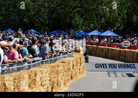 Edmonton, Kanada. Juni 2024. Fans besuchen das Red Bull Soap Box Derby in Edmonton. Mehr als 400 Einsendungen gingen ein. 58 Teilnehmer, die ausgewählt wurden, mussten auftreten, bevor sie ihre Soap Box Cars auf die Strecke brachten. Die Beiträge wurden von den Richtern für Leistung, Gesamtlook und Zeit gewählt. Die Fans stimmten für ihr Lieblingsteam aus der Seifenbox. (Foto: Ron Palmer/SOPA Images/SIPA USA) Credit: SIPA USA/Alamy Live News Stockfoto