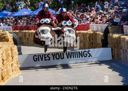 Edmonton, Kanada. Juni 2024. Team Beaver Rodeo macht den letzten Sprung beim Red Bull Soap Box Derby in Edmonton. Mehr als 400 Einsendungen gingen ein. 58 Teilnehmer, die ausgewählt wurden, mussten auftreten, bevor sie ihre Soap Box Cars auf die Strecke brachten. Die Beiträge wurden von den Richtern für Leistung, Gesamtlook und Zeit gewählt. Die Fans stimmten für ihr Lieblingsteam aus der Seifenbox. (Foto: Ron Palmer/SOPA Images/SIPA USA) Credit: SIPA USA/Alamy Live News Stockfoto