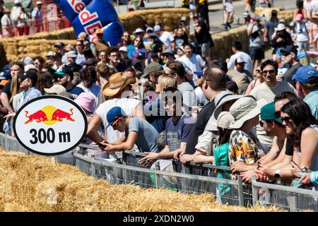 Edmonton, Kanada. Juni 2024. Fans besuchen das Red Bull Soap Box Derby in Edmonton. Mehr als 400 Einsendungen gingen ein. 58 Teilnehmer, die ausgewählt wurden, mussten auftreten, bevor sie ihre Soap Box Cars auf die Strecke brachten. Die Beiträge wurden von den Richtern für Leistung, Gesamtlook und Zeit gewählt. Die Fans stimmten für ihr Lieblingsteam aus der Seifenbox. (Foto: Ron Palmer/SOPA Images/SIPA USA) Credit: SIPA USA/Alamy Live News Stockfoto