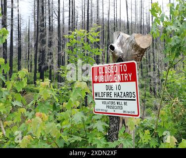 Ein Schild warnt Besucher, dass diese Straße und dieser Park für die Öffentlichkeit gesperrt sind, weil die Gefahr durch herabfallende Bäume durch den massiven Waldbrand verursacht wird Stockfoto