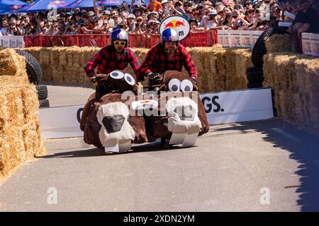 Edmonton, Alberta, Kanada. Juni 2024. Team Beaver Rodeo landet auf den Vorderrädern ihres Biberwagens während des Red Bull Soap Box Derby in Edmonton. Mehr als 400 Einsendungen gingen ein. 58 Teilnehmer, die ausgewählt wurden, mussten auftreten, bevor sie ihre Soap Box Cars auf die Strecke brachten. â die Beiträge wurden von den Richtern für Leistung, Gesamtlook und Zeit gewählt. Die Fans stimmten für ihr Lieblingsteam aus der Seifenbox. (Credit Image: © Ron Palmer/SOPA Images via ZUMA Press Wire) NUR REDAKTIONELLE VERWENDUNG! Nicht für kommerzielle ZWECKE! Stockfoto