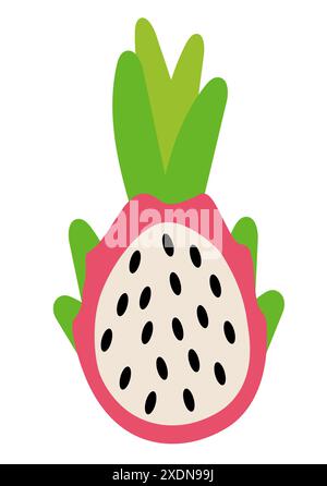 Drachenfrucht-Element. Konzept von gesundem Lebensmittel und Produkt. Sommer-Pitahaya. Illustration der Vektorabwicklung. Stock Vektor
