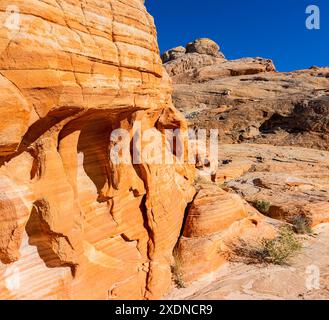 Kleine Bögen und Höhlen auf Sandsteinwänden in der Nähe des Upper Fire Canyon Wash, Valley of Fire State Park, Nevada, USA Stockfoto