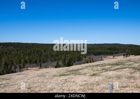 Wälder und Ackerland auf der NB 915 in Waterside, New Brunswick, Kanada Stockfoto