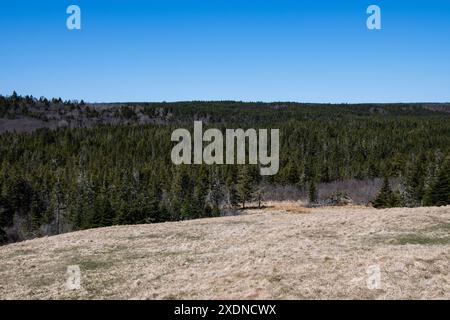 Wälder und Ackerland auf der NB 915 in Waterside, New Brunswick, Kanada Stockfoto