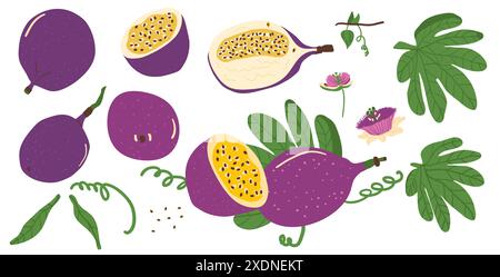 Passionsfrucht-Set. Tropische Hälfte und ganze Früchte mit Blättern und Blume Clipart. Vektorillustration isoliert auf weißem Hintergrund. Stock Vektor