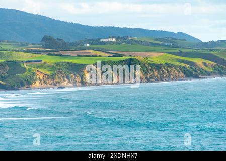 Paritutu Centennial Park in New Plymouth - Neuseeland Stockfoto