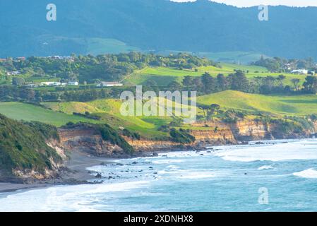 Paritutu Centennial Park in New Plymouth - Neuseeland Stockfoto