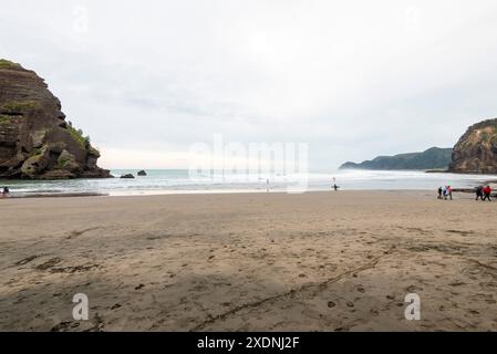 Piha Beach - Neuseeland Stockfoto