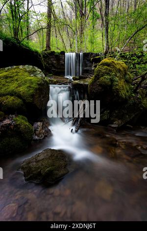 Wasserfall in der West Virginia Wilderness Stockfoto