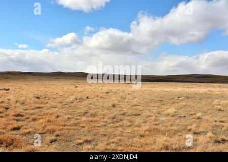 Flache lange Steppe mit niedrig gelblichem Gras am Fuße eines Berges aus hohen Hügeln unter einem bewölkten Herbsthimmel. Chui Steppe, Altai, Sibirien, Russland. Stockfoto