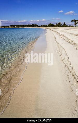 Dünenkomplex, es Caragol Beach. Hohes Umweltschutzgebiet, Santaniy, Mallorca. Balearen. Spanien. Stockfoto