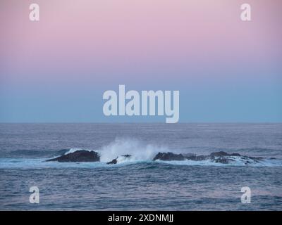 Herrlicher rosa und blauer Sonnenuntergang spiegelt sich in Wolken im Osten über dem Pazifik, Insel mit stürzenden Wellen, NSW Australien Stockfoto