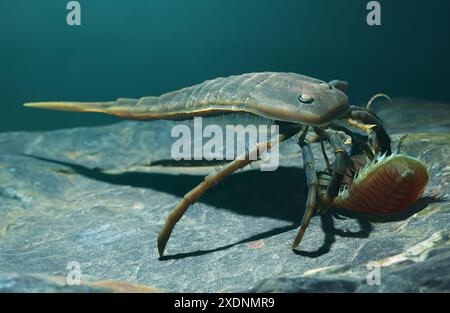 Eine Illustration des ausgestorbenen Eurypteriden Kokomopterus, der vor 418 Millionen Jahren einen toten Trilobiten auf einem silurischen Meeresboden plünderte. Stockfoto