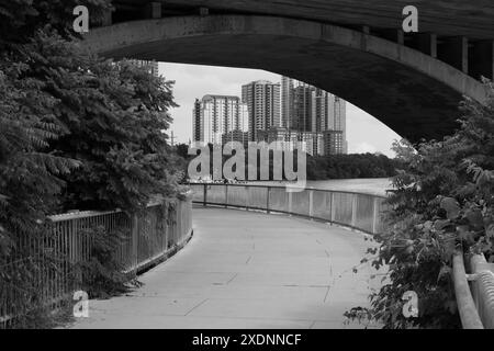 Der Urban Trail bietet einen Fußgängerweg aus Beton, der sich anmutig entlang des Randes des Lady Bird Lake in Austin, Texas, windet. Stockfoto