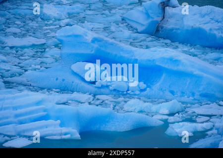 Nahaufnahme von blauen Eisstücken, die im Wasser schwimmen. Nationalpark Los Glaciares, Argentinien Stockfoto