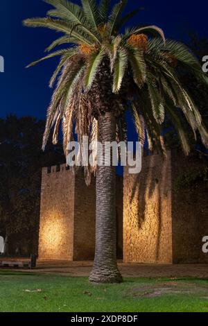 Palme und befestigtes Tor Porta de Sao Goncalo bei Nacht in Lagos, Algarve, Portugal. Stockfoto