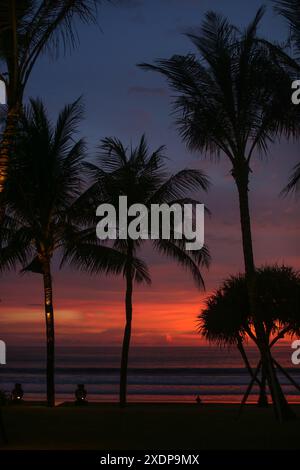 Die Silhouette der Palmen vor einem pulsierenden Sonnenuntergang über dem Meer Stockfoto