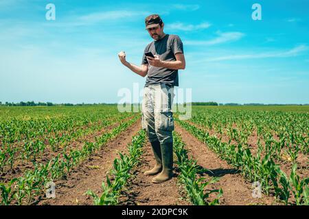 Erfolgreicher, zuversichtlicher Landwirt mit Mobiltelefon auf dem Maisanbau, selektiver Fokus Stockfoto