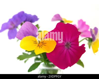 Farbenfrohe Sommerblumen in einem Vintage-Glas auf weißem Hintergrund. Stockfoto