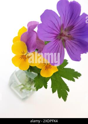 Farbenfrohe Sommerblumen in einem Vintage-Glas auf weißem Hintergrund. Stockfoto