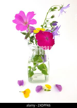 Farbenfrohe Sommerblumen in einem Vintage-Glas auf weißem Hintergrund. Stockfoto
