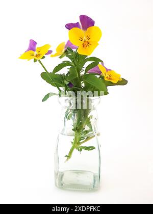 Farbenfrohe Sommerblumen in einem Vintage-Glas auf weißem Hintergrund. Stockfoto
