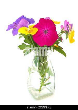 Farbenfrohe Sommerblumen in einem Vintage-Glas auf weißem Hintergrund. Stockfoto