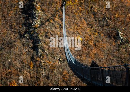 Geierlay-Hängebrücke auf einer herbstlichen Baumlandschaft, in Deutschland Stockfoto