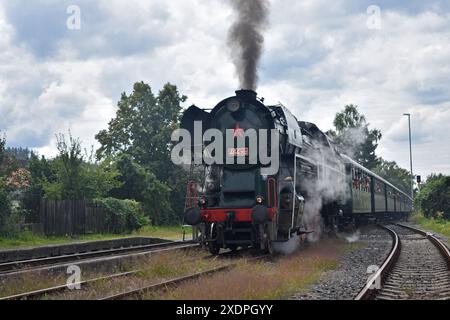 Historische Dampfeisenbahnfahrt: Winkende Passagiere und rauchender Rauch Stockfoto