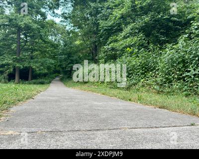 Blick auf den gepflasterten Weg in die Wälder im Cincinnati Park Stockfoto