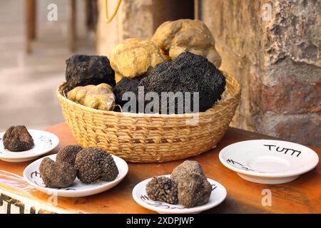 Diverse Trüffeln auf Anzeige in Umbrien, Italien. Stockfoto