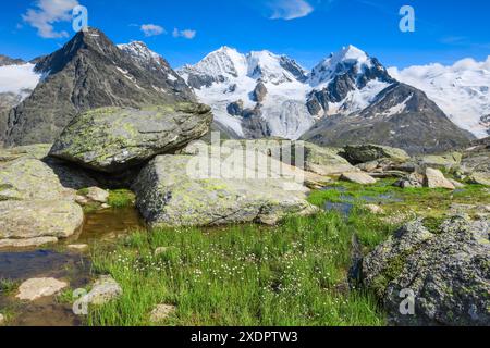 Geographie / Reisen, Schweiz, Piz Tschierva, Piz Bernina, Biancograt, PIZ ROSEG, NO-EXCLUSIVE-USE FOR FALTEN-KARTE-GRUSS-KARTE-POSTKARTE-USE Stockfoto