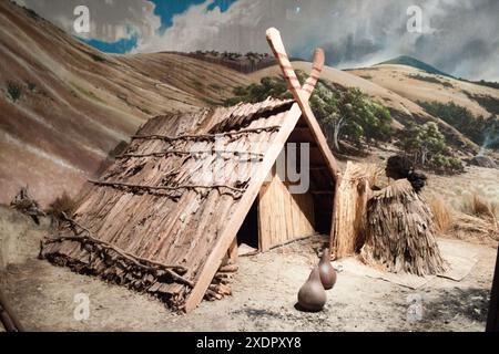 Ein Diorama des Maori-Lebens im Canterbury Museum, das einen traditionellen Whale zeigt. Körniges Bild, das bei verfügbarem Licht aufgenommen wird. Stockfoto