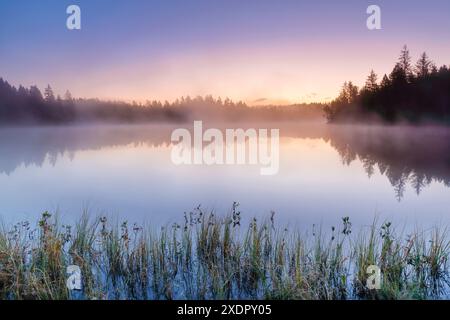 GEOGRAPHIE / REISEN, SCHWEIZ, NO-EXCLUSIVE-USE FOR FOLDING-CARD-GREETING-CARD-POSTCARD-USE Stockfoto