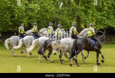 Mounted Metropolitan Police Polizisten und ihre Pferde von der Metropolitan Police Mounted Branch machen Trainingsübungen in Green Park, London, Großbritannien. Stockfoto