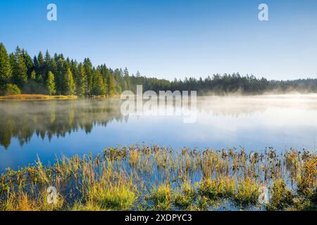 Geographie / Reise, Schweiz, Nebel über dem Moorsee Etang de la Gruere im Kanton Jura, KEINE EXKLUSIVE VERWENDUNG FÜR FALTKARTEN-GRUSSKARTEN-POSTKARTEN-NUTZUNG Stockfoto