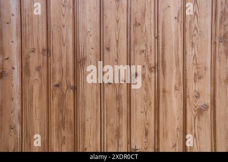 Hintergrund mit hellen Holzpaneelen Stockfoto