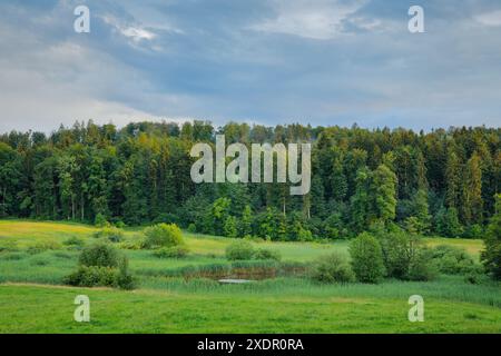 GEOGRAPHIE / REISEN, SCHWEIZ, NO-EXCLUSIVE-USE FOR FOLDING-CARD-GREETING-CARD-POSTCARD-USE Stockfoto