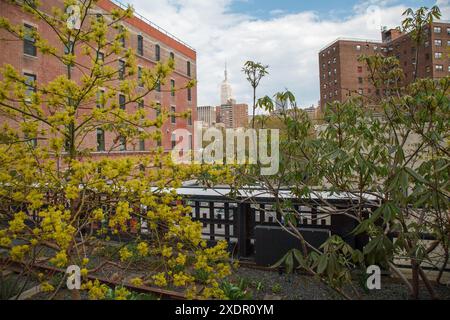 Die Spitze des ikonischen Wolkenkratzers Empire State Building in Manhattan aus Sicht vom High Line Linearpark in West Side von Manhattan, New York City Stockfoto