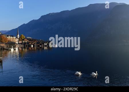 Geographie / Reise, Österreich, Hallstatt, Morgenlicht über Hallstatt, ADDITIONAL-RIGHTS-CLEARANCE-INFO-NOT-AVAILABLE Stockfoto