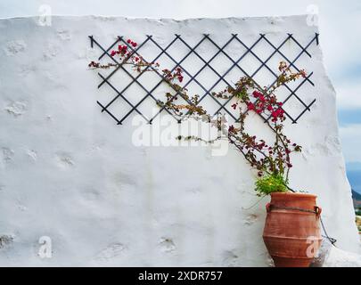 Lila Bougainvillea, die an einer Mauer in Patmos, Chora, Patmos Island, Dodekanese, Griechischen Inseln, Griechenland, Europa Stockfoto