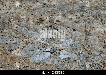 Detailfoto eines hellgrauen Steinhintergrunds aus Nahaufnahme 5 Stockfoto