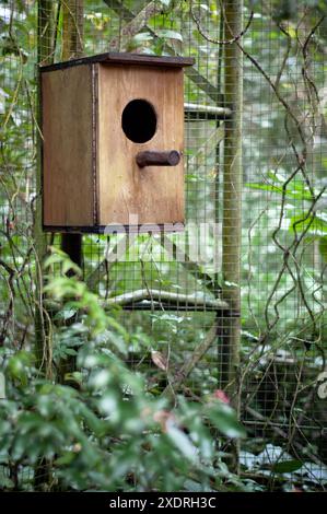 2007-12-30, Taman Safari Zoo, Cisarua, Indonesien: Beobachten und fangen erstaunliche Tiere aus nächster Nähe. Stockfoto