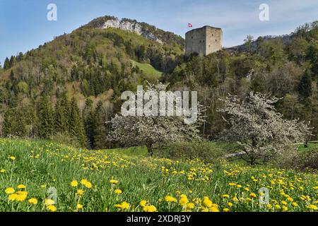 Schweiz, Zullwil, Solothurn, Schwarzbubenland, Ruinen, Gilgenberg Stockfoto